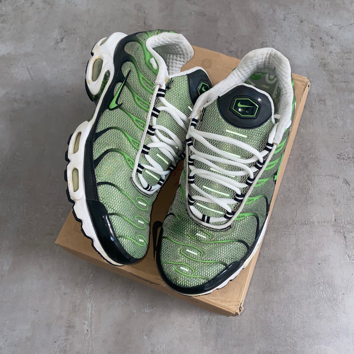 Nike Air Max Plus "Rejuvenation" (2006) US11 Men's