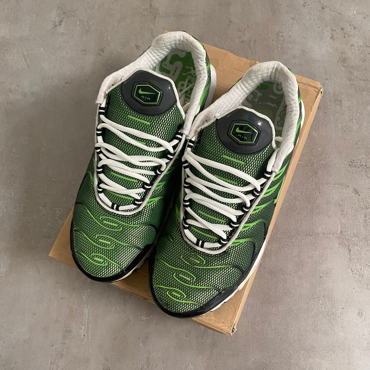 Nike Air Max Plus "Rejuvenation" (2006) US11 Men's
