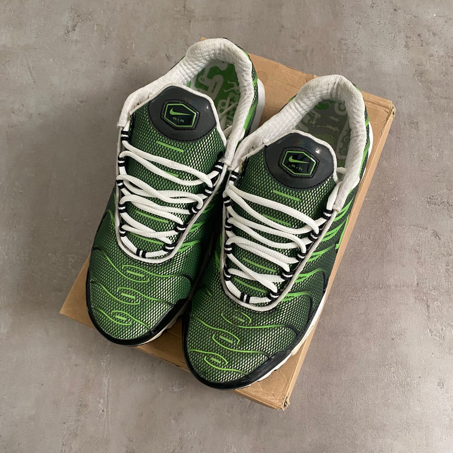 Nike Air Max Plus "Rejuvenation" (2006) US11 Men's