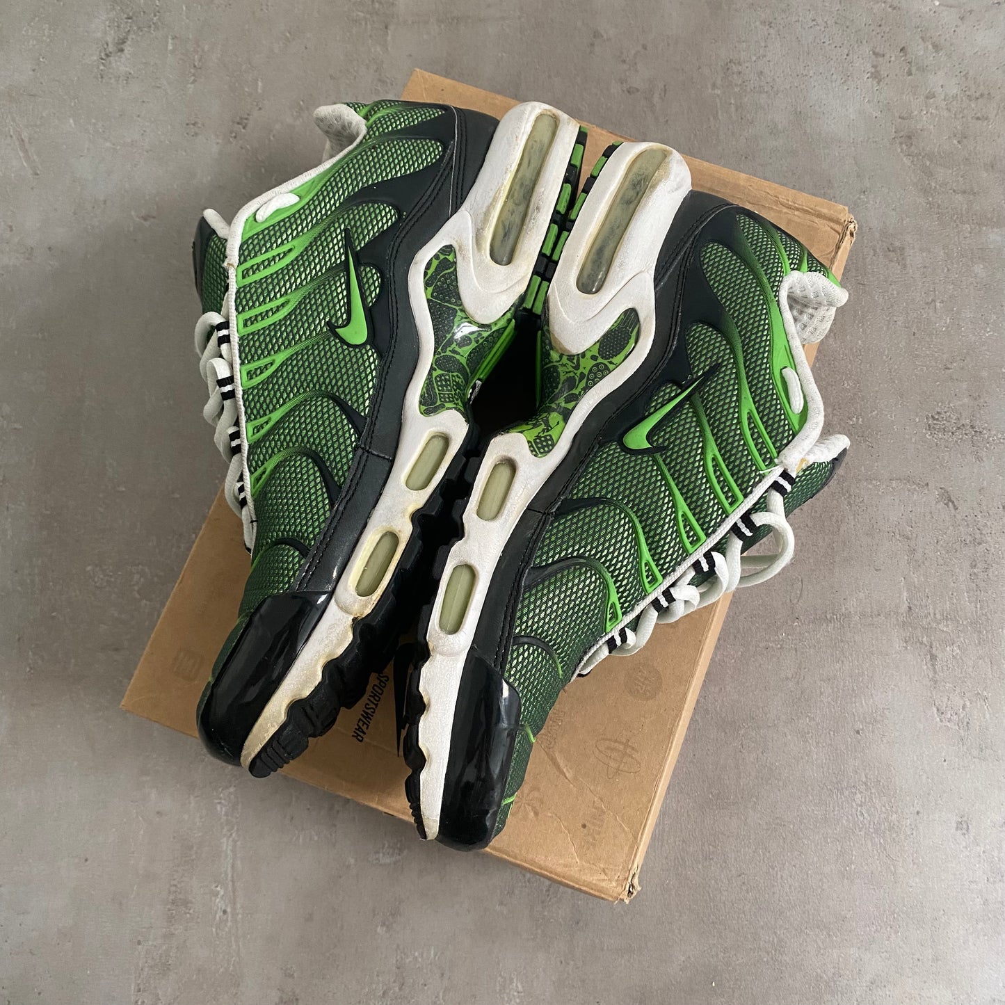 Nike Air Max Plus "Rejuvenation" (2006) US11 Men's