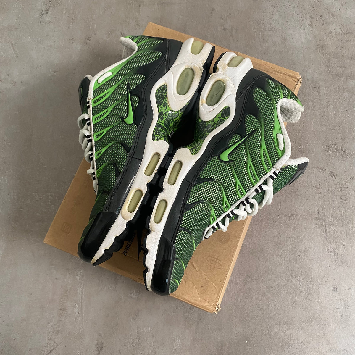 Nike Air Max Plus "Rejuvenation" (2006) US11 Men's