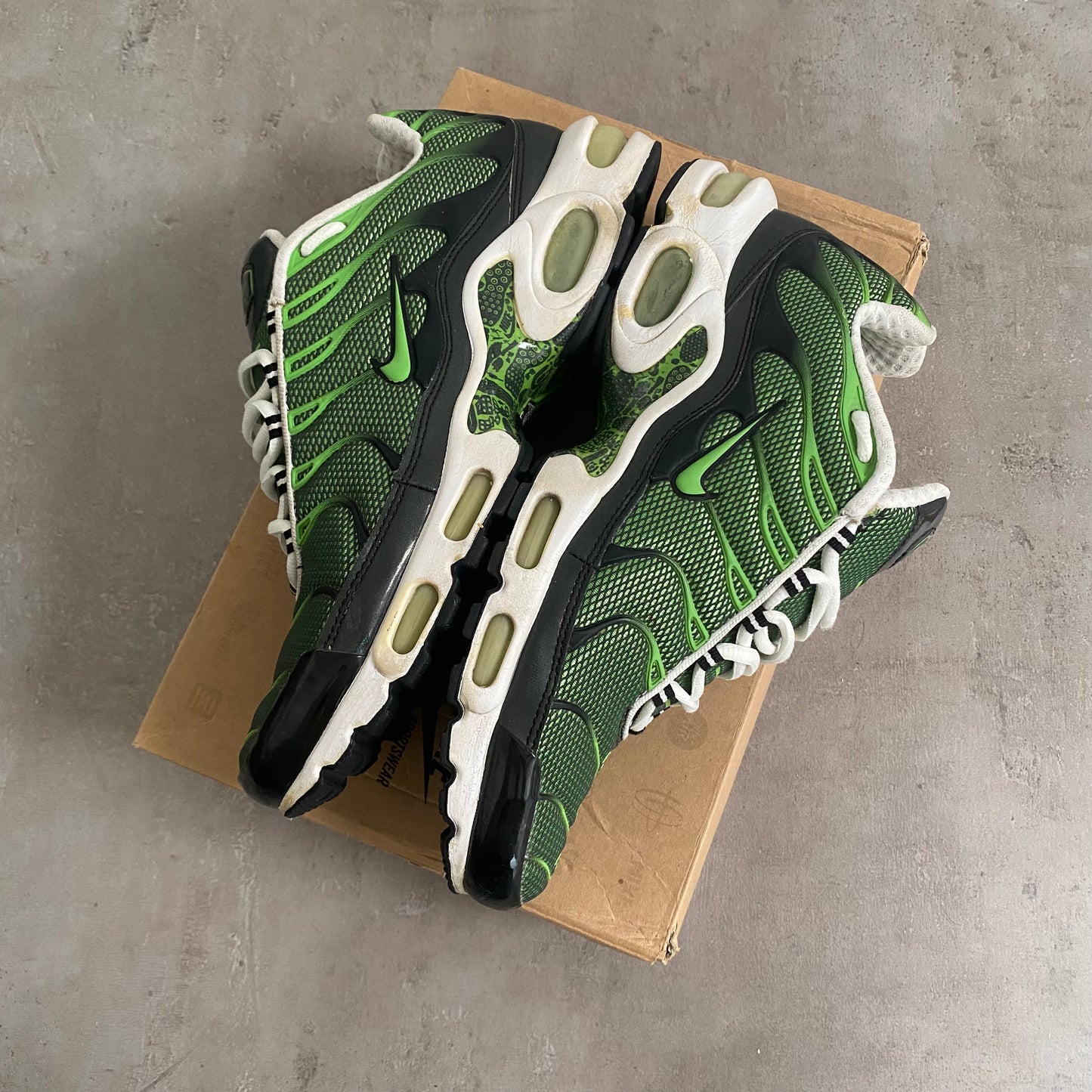 Nike Air Max Plus "Rejuvenation" (2006) US11 Men's